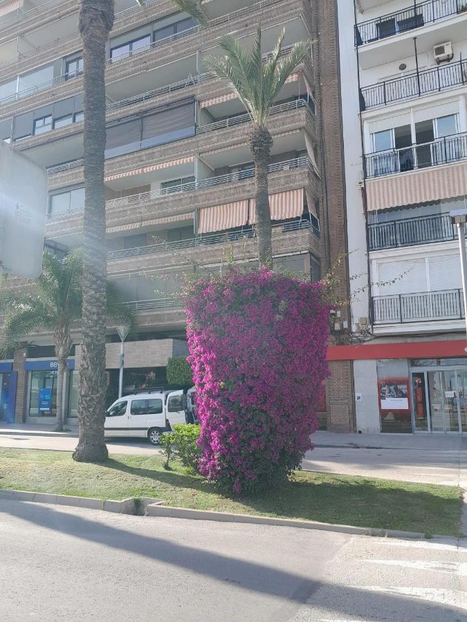 Ferienwohnung Stylowy Apartament Harmonia Playa Del Cura, Hiszpania Torrevieja Exterior foto